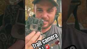 Trail camera tips ! #deerhunting #500subs #hunting #outdoors #trailcam