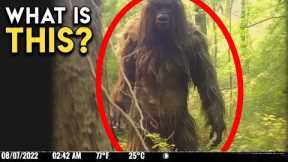 People Are Disturbed By THIS Trail Cam Footage
