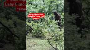 Female Bigfoot with Baby Hanging on its Back Captured on Trail Camera! | Squatch Watchers Shorts