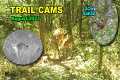 Trail Cams August 2023 S4E40 #nature
