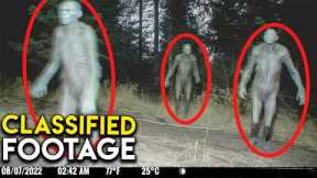 THESE Creatures Were Caught Stalking a Trail Cam