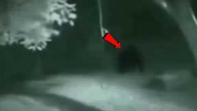 Trail Cam Captures What No One Was Supposed to See | Boggling Discovery