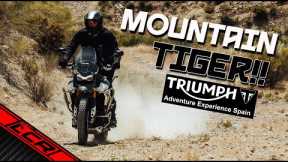 Catching A Tiger By The Trail!! | Triumph Adventure Experience PART 2