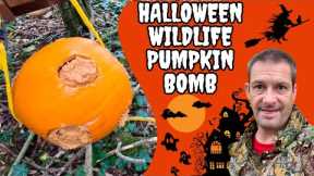 Making A Halloween Pumpkin Bomb & Wildville Party Aftermath