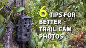 6 Tips for Trail-Camera Setup to Get More & Better Deer Photos