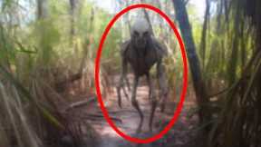 Scary Trail Cam Footage That Went Viral Overnight