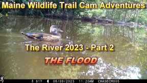 Trail Camera Videos - The River Part 2  - THE FLOOD!