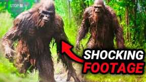 Mega Compilation Of The Most Shocking Trail Cam Footage (NEW)