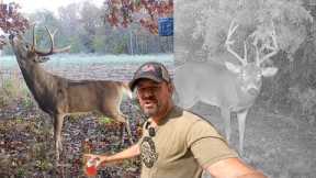 Southern Illinois Trail Cam MYTH? Trail cam updates & property tour