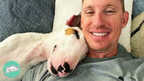 Bull Terrier Becomes Dad's Shadow And Follows Him 24/7 | Cuddle Buddies