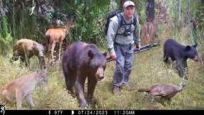 Tim Harrell Big Cypress National Preserve Trail Camera Pickup