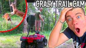 CRAZY TRAIL CAMERA FINDS! - Kendall Gray