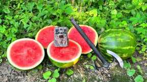 What Happens to WATERMELON Left in the Woods? (Trail Camera)