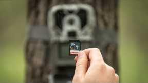Avoid These 5 SD Card Trail Camera Mistakes