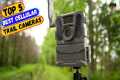 Best Cellular Trail Cameras You can