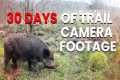 30 days of trail camera footage!