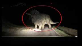 Trail Cam Footage Unearths Jaw-Dropping Scene: Brace Yourself